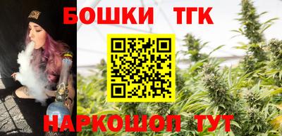 индика Тверь