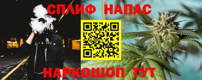 индика Тверь