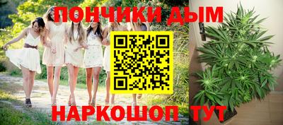 индика Тверь