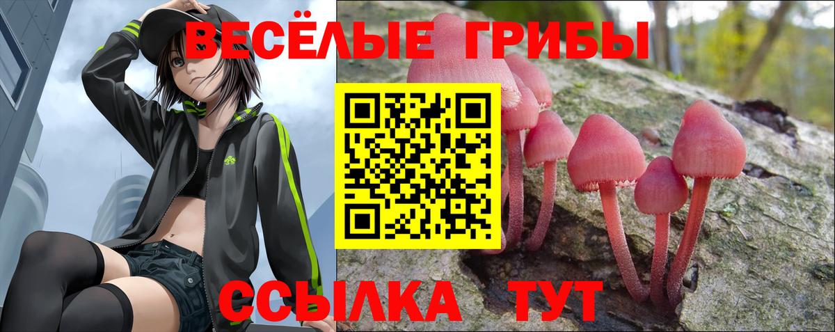 Галлюциногенные грибы Magic Shrooms  Вход с VPN  Ярославль 